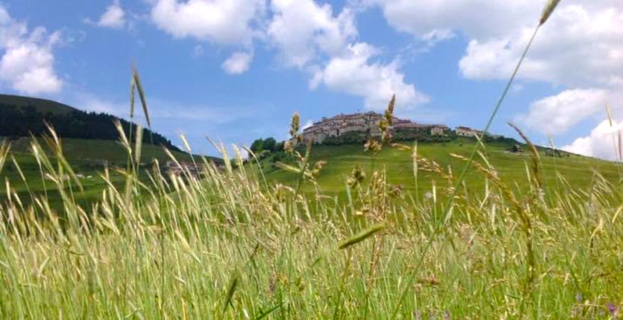 castelluccio norcia 2215